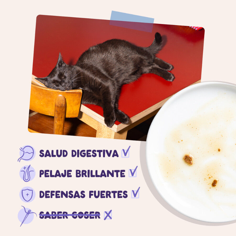 85 g Edgard & Cooper Comida h&uacute;mida de pato e peru em molho em saquetas para gatos, , large Imagem n&uacute;mero 4