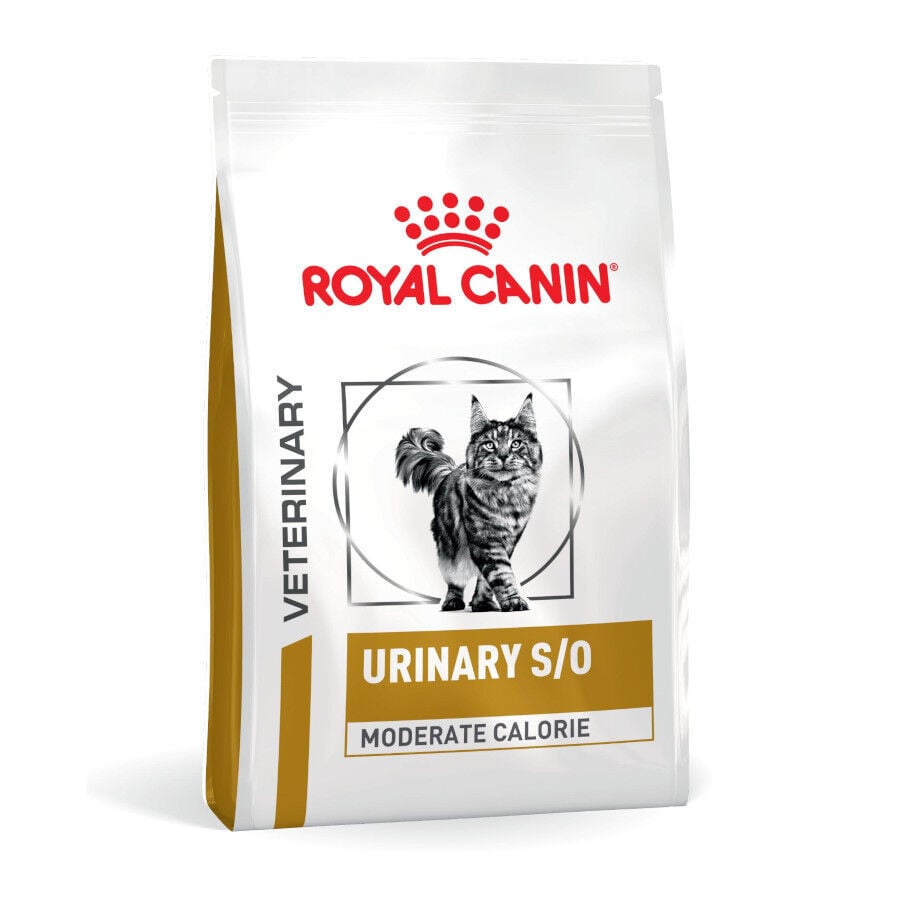 1.5 kg Royal Canin Veterinary Urinary S/O Moderate Calorie ra&ccedil;&atilde;o para gatos, , large Imagem n&uacute;mero 1