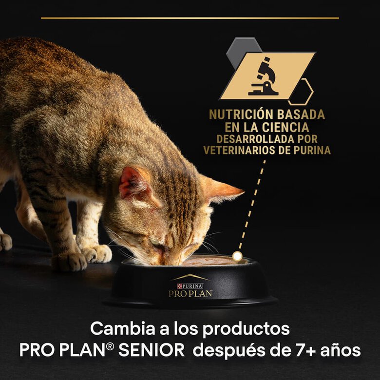 85 g Pro Plan Sterilised Maintenance saquetas com vaca em molho para gatos ,  Imagem número 8 85 g Pro Plan Sterilised Maintenance saquetas com vaca em molho para gatos , , large Imagem número 8
