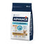 1.5 kg Advance Active Defense Yorkshire Terrier Adult Frango e Arroz ração para cães, , large Indicador imagem número 1