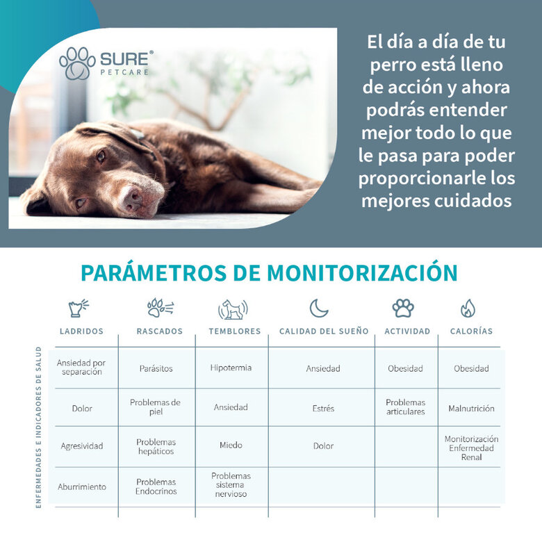 Sure Petcare Animo Monitor comportamental para cães, , large image number null