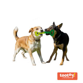 Tootoy! Chew Mordedor pegar e puxar para c&atilde;es