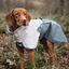 Non-stop Dogwear Capa de Chuva Imperme&aacute;vel Cinzenta para c&atilde;es, , large Indicador imagem n&uacute;mero 2