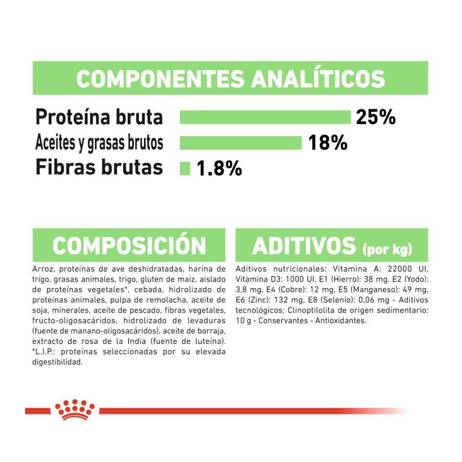 12 kg Royal Canin Medium Digestive Care ra&ccedil;&atilde;o para c&atilde;es, , large Imagem n&uacute;mero 7