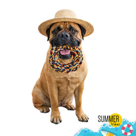 Summer Vibes Dolce Vita Rope Ring Brinquedo para c&atilde;es