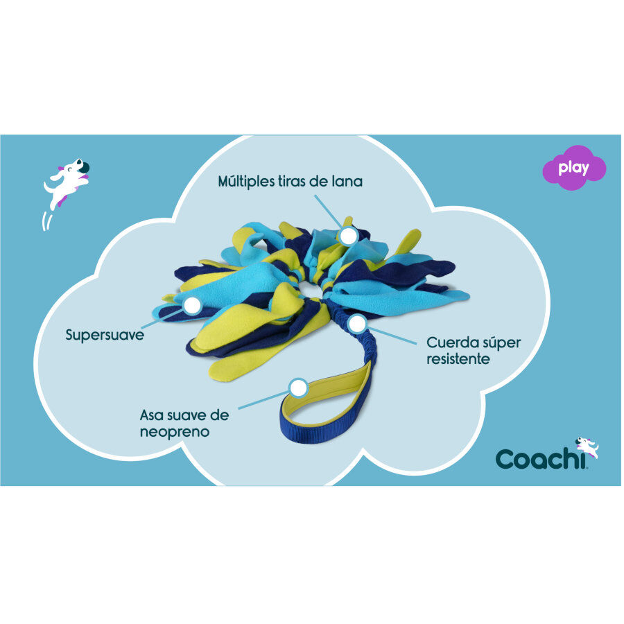 Coachi Tuggi Spider brinquedo para c&atilde;es, , large Imagem n&uacute;mero 3