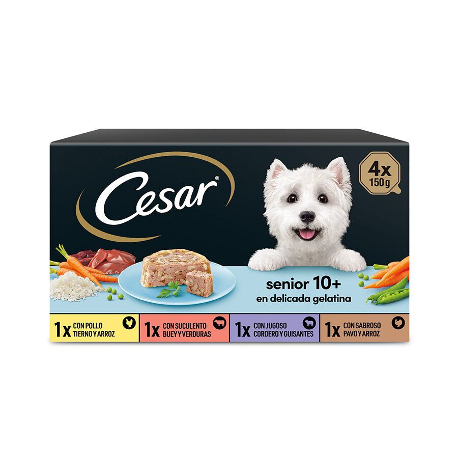 4 terrinas x 150 g Cesar Mistura de Carnes Terrina em Geleia para C&atilde;es S&eacute;nior - Multipack, , large Imagem n&uacute;mero 1