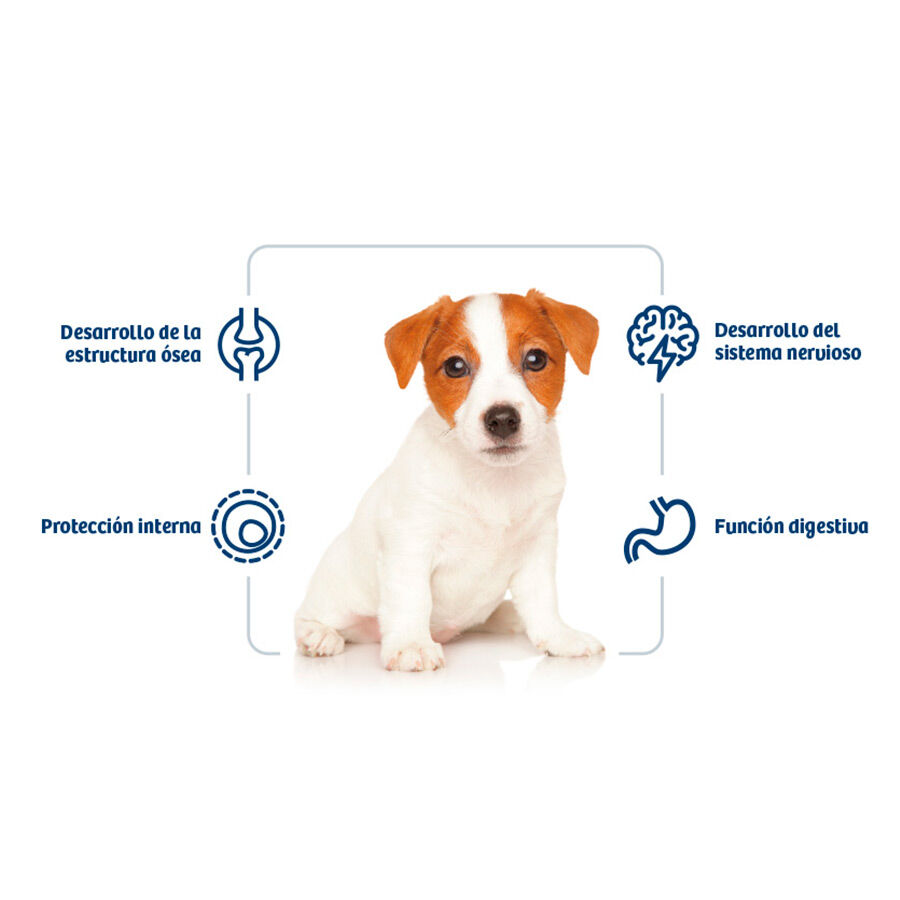 7 kg Nath Puppy Mini Frango ra&ccedil;&atilde;o para c&atilde;es, , large Imagem n&uacute;mero 2