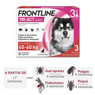 Frontline Tri-Act Pipetas antiparasitárias para cães 40 - 60 kg