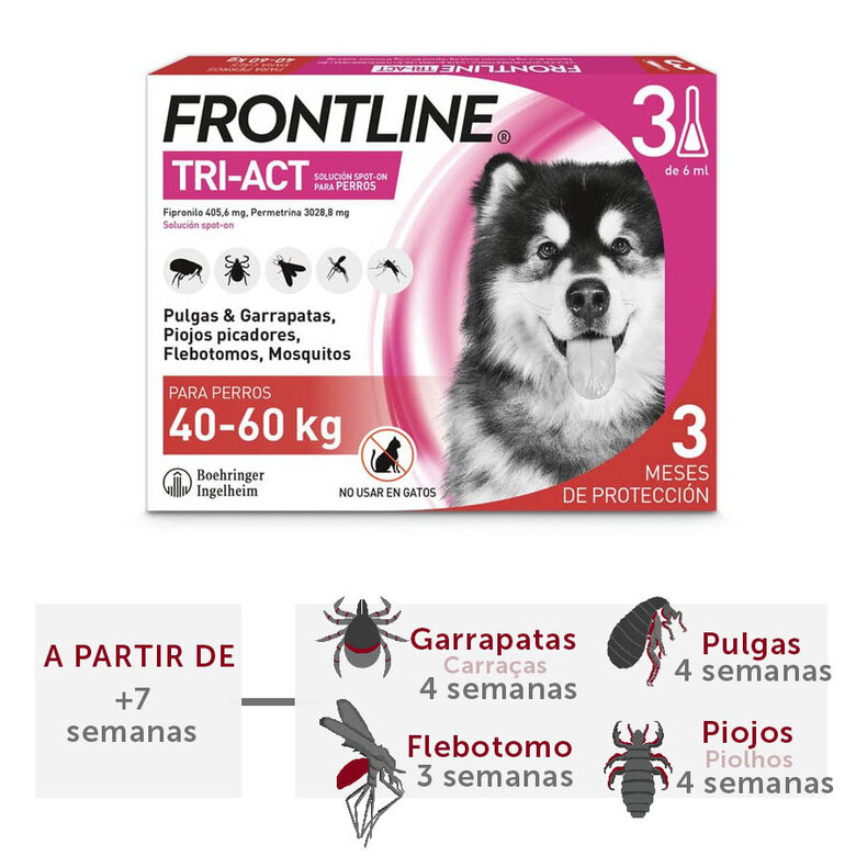 Frontline Tri-Act Pipetas antiparasitárias para cães 40 - 60 kg, , large image number null