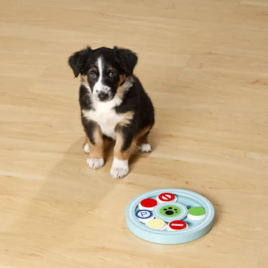 Flamingo Brinquedo interativo para c&atilde;es, , large Imagem n&uacute;mero 2