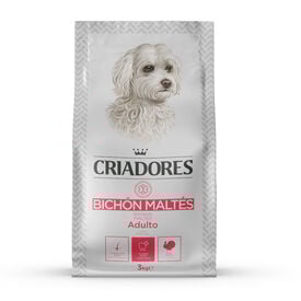 Criadores Bichón Maltês Peru ração para cães
