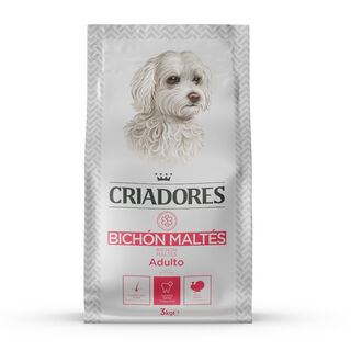 Criadores Bichón Maltês Peru ração para cães