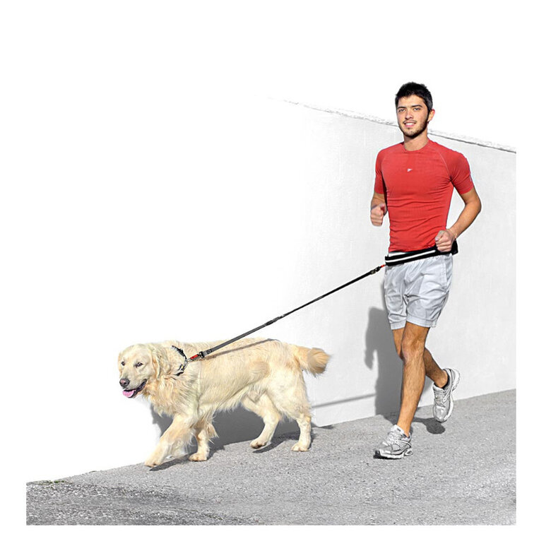 Ferplast Cinto e trela Canicross para cães,  Imagem número 2 Ferplast Cinto e trela Canicross para cães, , large Imagem número 2