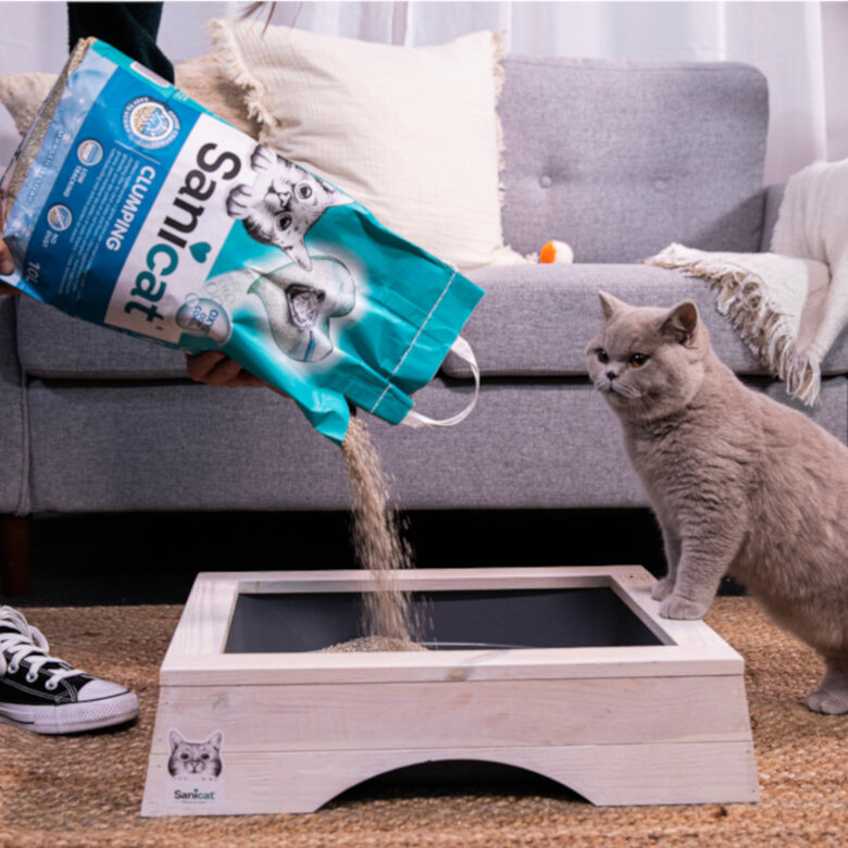 10 L Sanicat Marselha Areia Aglomerante para gatos,  Imagem número 4 10 L Sanicat Marselha Areia Aglomerante para gatos, , large Imagem número 4