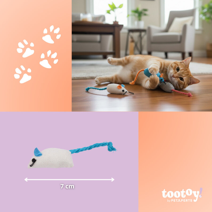 ootoy! Comfort & Relax Brinquedo ratos brulap de corda para gatos, , large Imagem n&uacute;mero 4