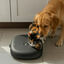 All For Paws Lifestyle Comedouro automático preto para cães e gatos, , large Indicador imagem número 1