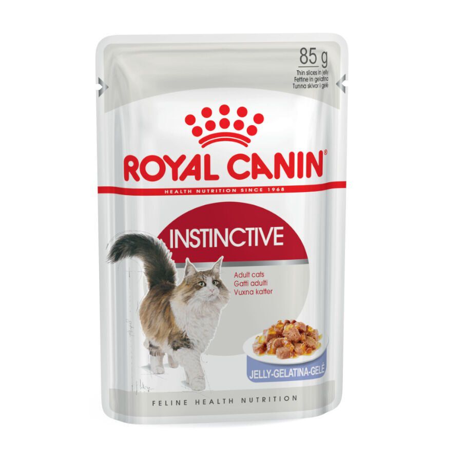 12 saquetas x 85 g Royal Canin Instinctive Saquetas de Gelatina para gatos Pack poupan&ccedil;a!, , large Imagem n&uacute;mero 1