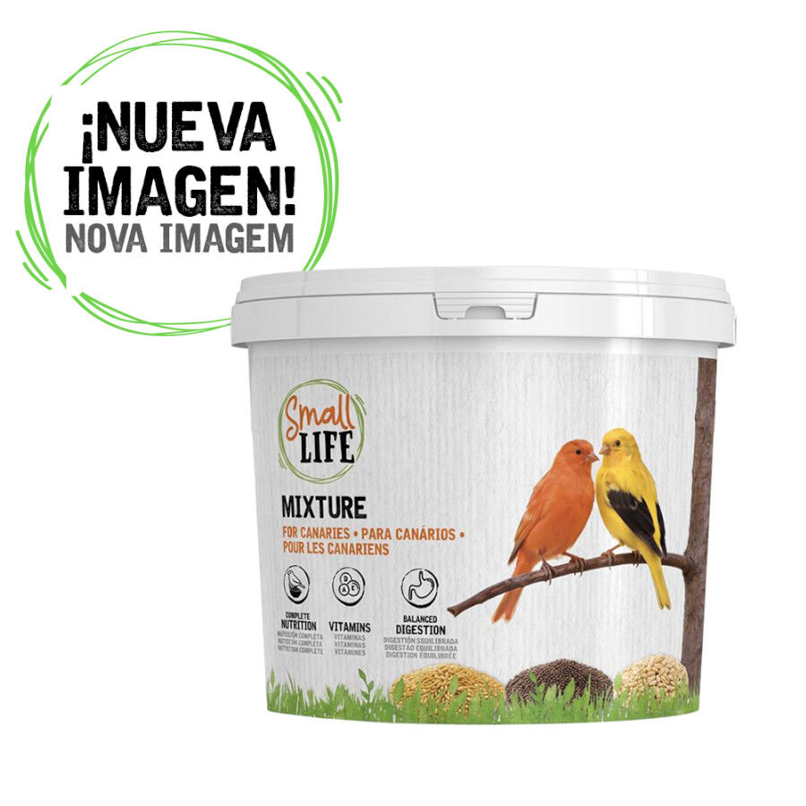 3.7 kg Small Life Mixtura Cubos para canarios, , large Imagem n&uacute;mero 1