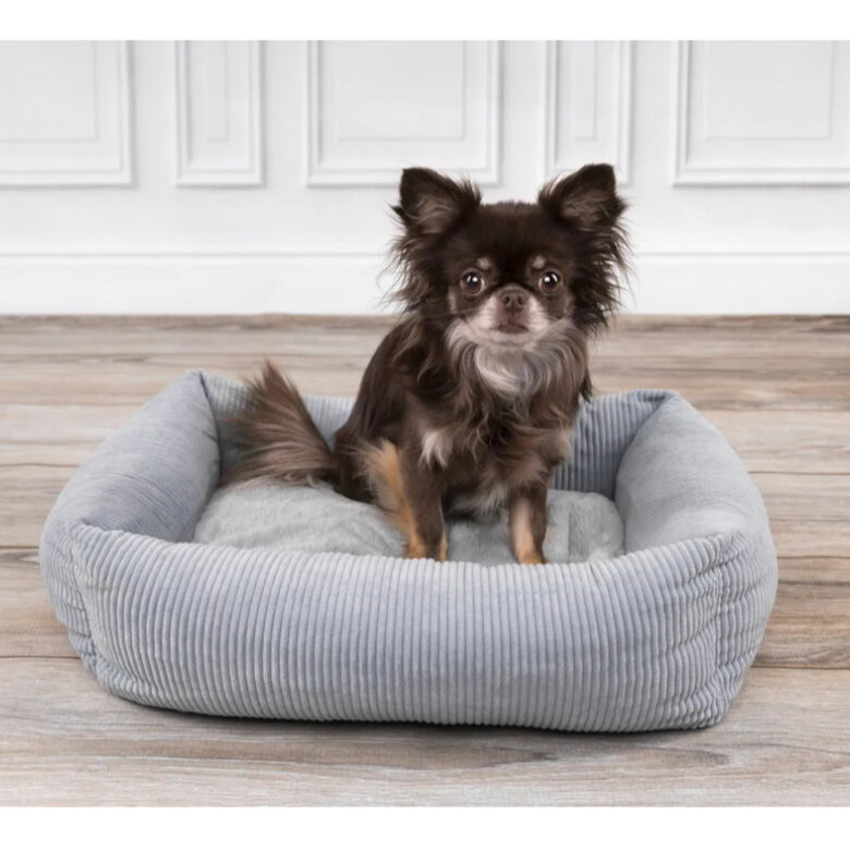 Flamingo Colette Retangular Azul cama alcofa para cães,  Imagem número 3 Flamingo Colette Retangular Azul cama alcofa para cães, , large Imagem número 3