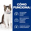 3 kg Hill's Prescription Diet Gastrointestinal Biome Stress para gatos, , large Indicador imagem número 3