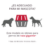 Gulliver 7 IATA Transportador para cães, , large Indicador imagem número 2