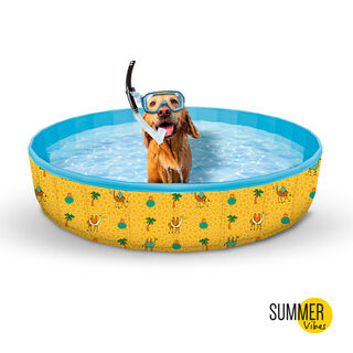 Summer Vibes Piscina para cães
