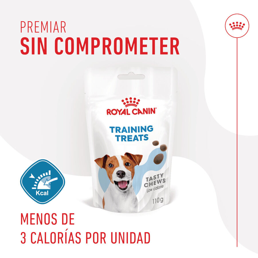 110 g Royal Canin Training snacks para c&atilde;es, , large Imagem n&uacute;mero 4