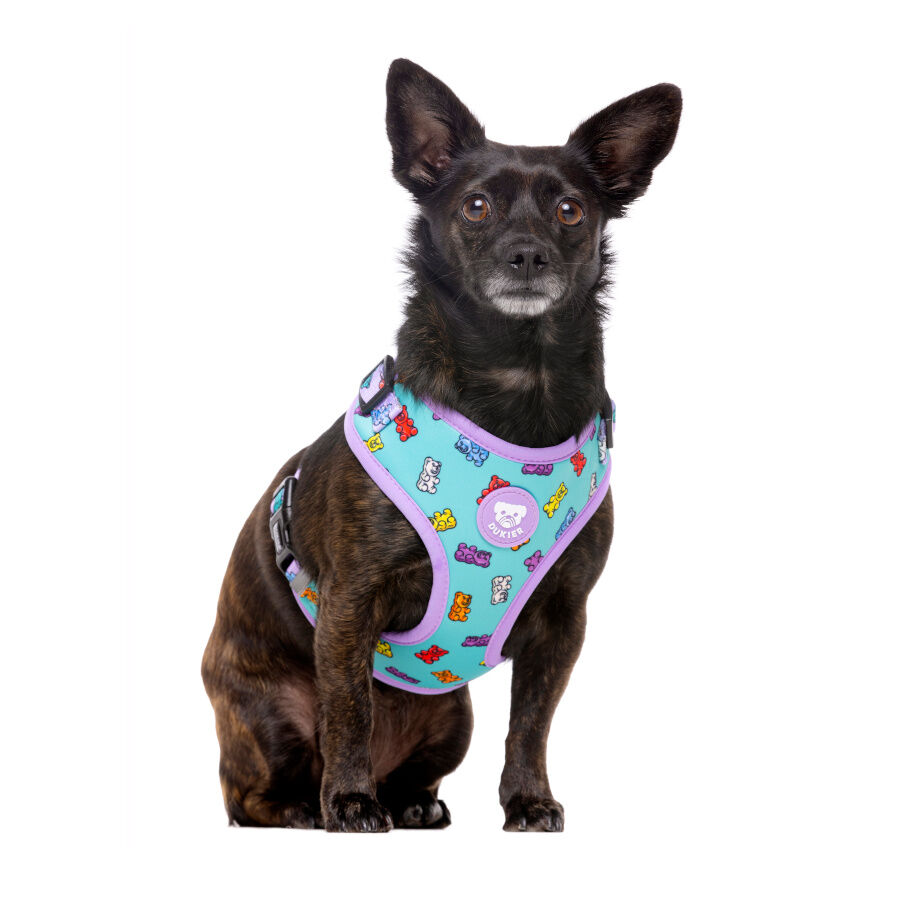 Dukier Gummy Bears Peitoral Ajust&aacute;vel para c&atilde;es , , large Imagem n&uacute;mero 2