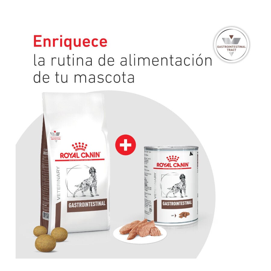 400 g Royal Canin Veterinary Diet Gastrointestinal lata para c&atilde;es, , large Imagem n&uacute;mero 8