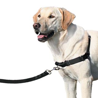 Nayeco Easy Walk Peitoral Preto para cães