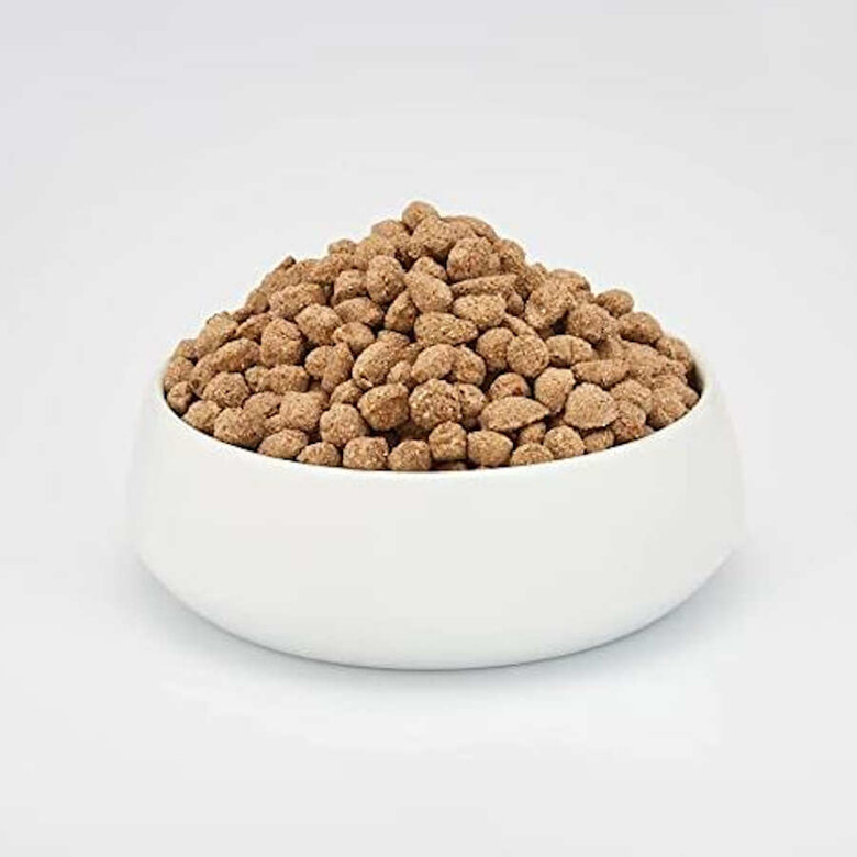 Beaphar Care+ ração para coelhos adultos super premium, , large image number null