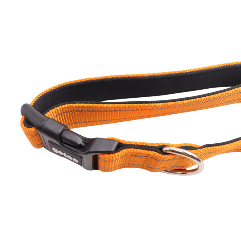 Gotoo Coleira refletora de nylon laranja para cães,  Imagem número 4 Gotoo Coleira refletora de nylon laranja para cães, , large Imagem número 4