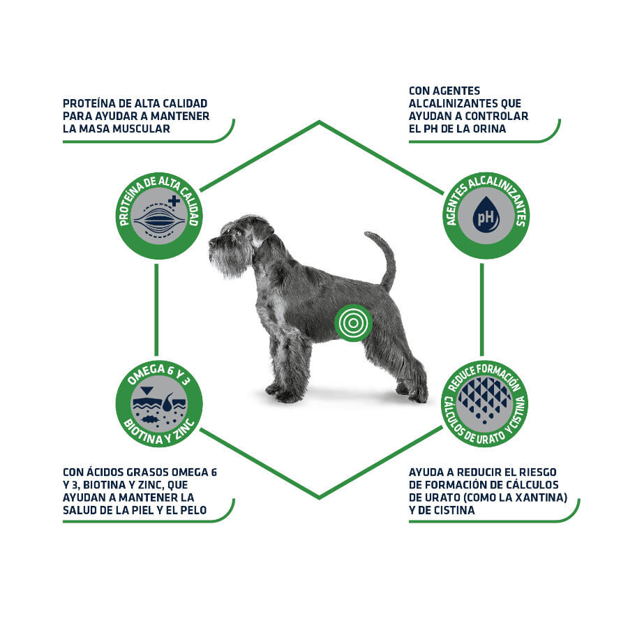 2 x 12 kg Advance Urinary Low Purine ra&ccedil;&atilde;o para c&atilde;es Pack poupan&ccedil;a!, , large Imagem n&uacute;mero 3