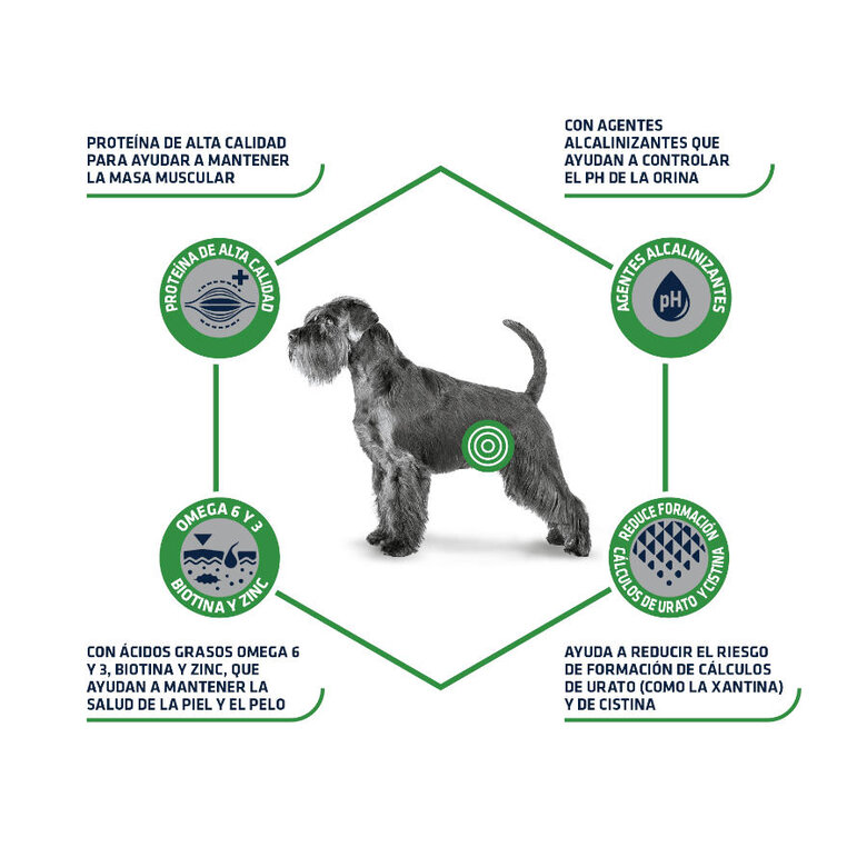 12 kg Advance Urinary Low Purine ração para cães,  Imagem número 3 12 kg Advance Urinary Low Purine ração para cães, , large Imagem número 3