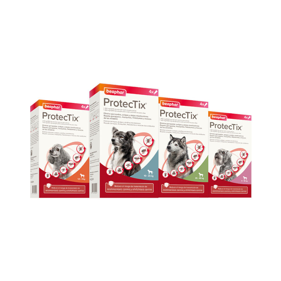 Beaphar Protectix Pipetas para c&atilde;es, , large Imagem n&uacute;mero 1