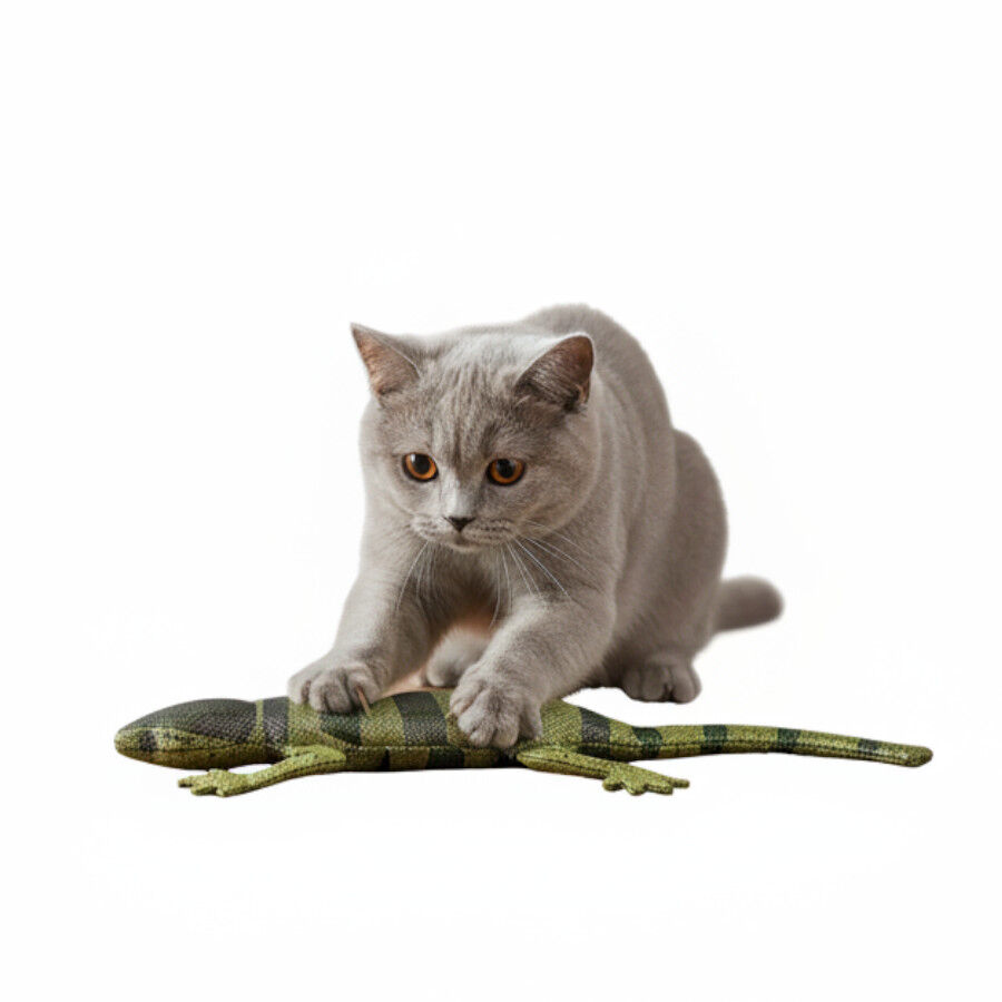 PLAYOLOGY PELUCHE LAGARTO BRILHANTE PARA GATOS, , large Imagem n&uacute;mero 4