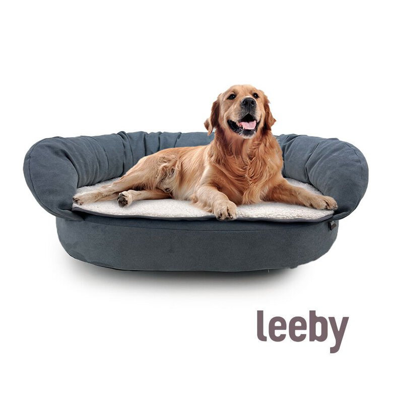 Leeby Sofá Ortopédico Viscoelástico Cinzento para cães,  Imagem número 2 Leeby Sofá Ortopédico Viscoelástico Cinzento para cães, , large Imagem número 2