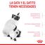 10 kg Royal Canin Mother & Baby ração para gatos, , large Indicador imagem número 6
