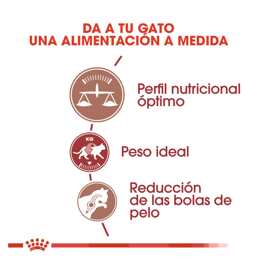 10 kg Royal Canin Regular Fit 32 ra&ccedil;&atilde;o para gatos, , large Imagem n&uacute;mero 4