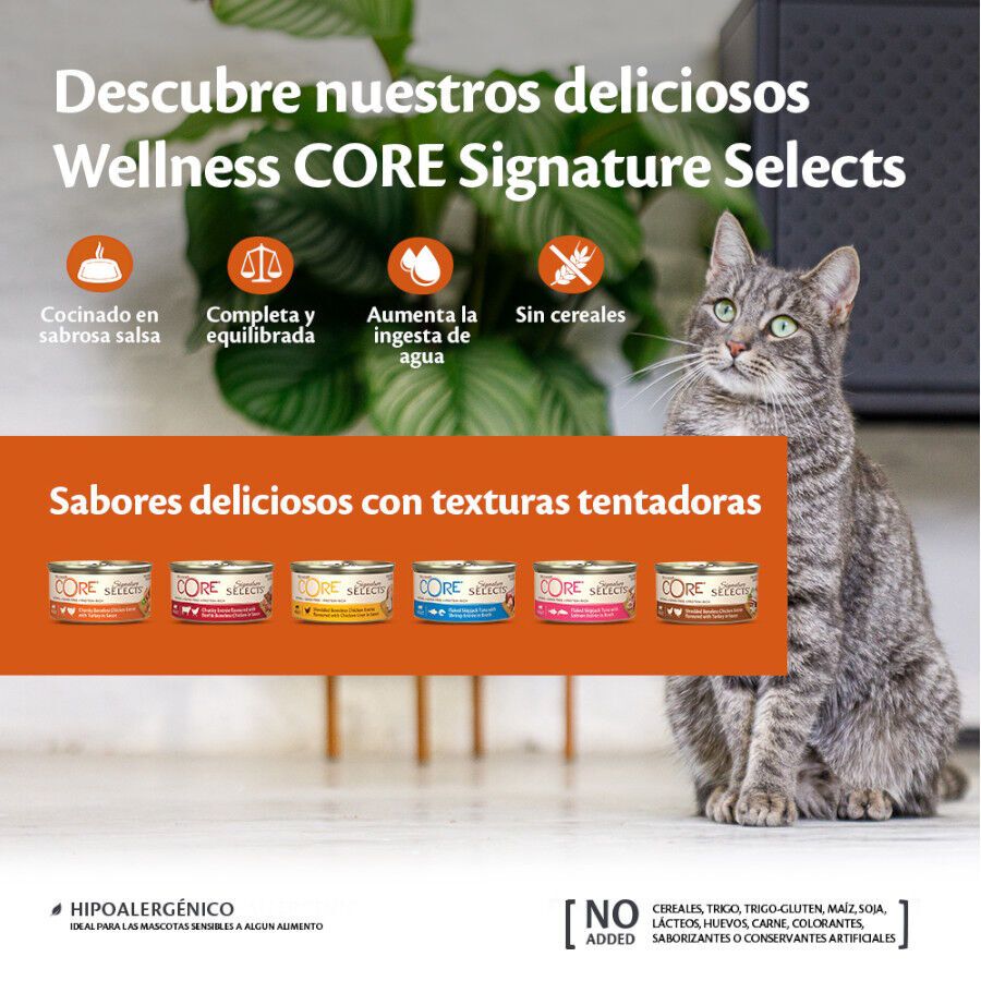 79 g Wellness Core Flaked Salm&atilde;o em lata para gatos, , large Imagem n&uacute;mero 3