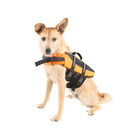 TK-Pet Pyrenees Colete salva-vidas laranja para cães, , large image number null