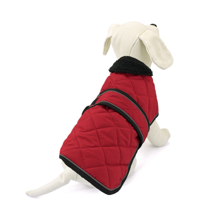 Outech Casaco Vermelho para c&atilde;es da ra&ccedil;a Teckel, , large Imagem n&uacute;mero 2