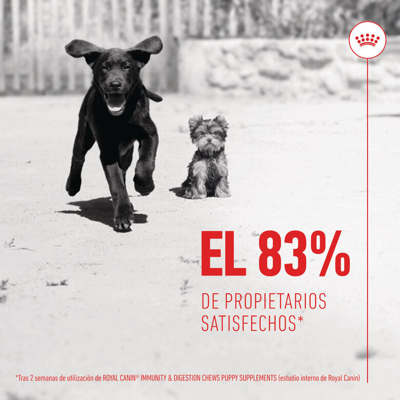 100 g Royal Canin Immunity & Digestion Chews Puppy Suplemento Nutricional para Cães,  Imagem número 8 100 g Royal Canin Immunity & Digestion Chews Puppy Suplemento Nutricional para Cães, , large Imagem número 8
