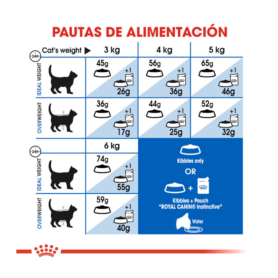 10 kg Royal Canin Home Life Indoor 27 ra&ccedil;&atilde;o para gatos, , large Imagem n&uacute;mero 6