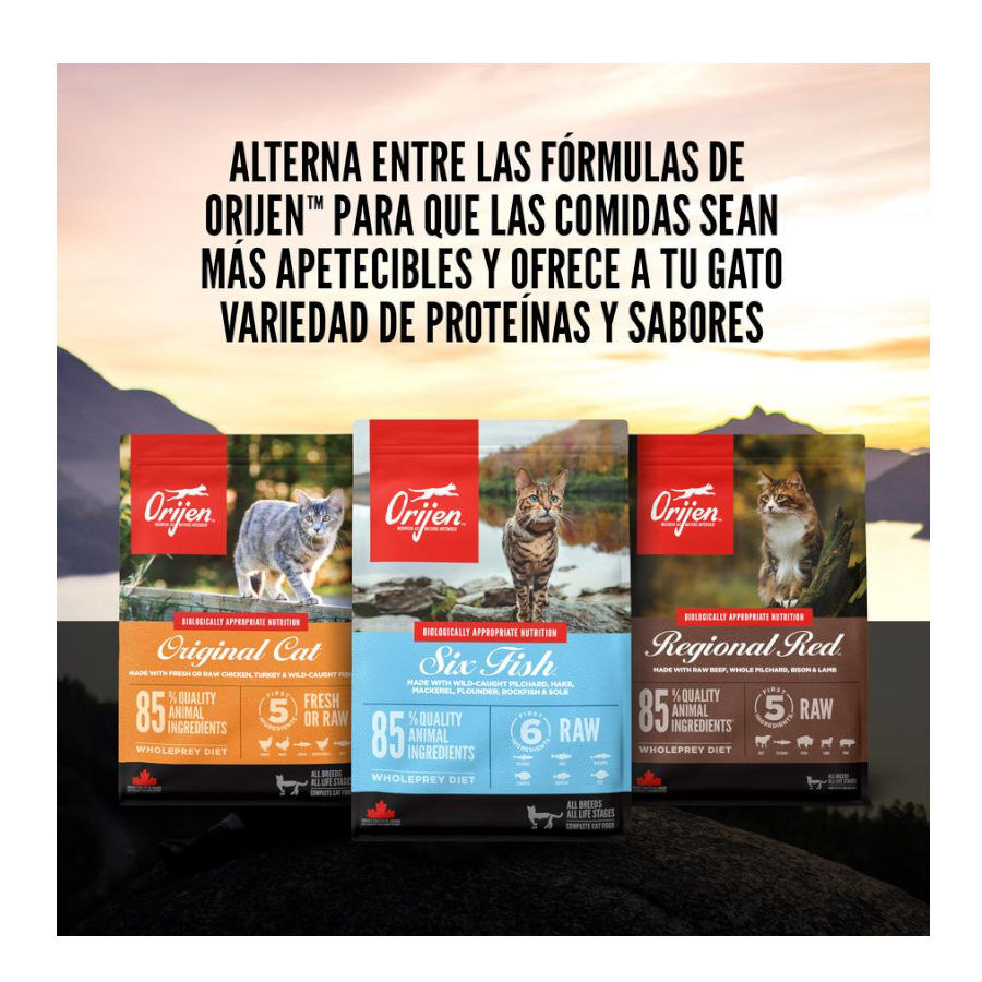 5.4 kg Orijen Regional Red ra&ccedil;&atilde;o para gatos, , large Imagem n&uacute;mero 7