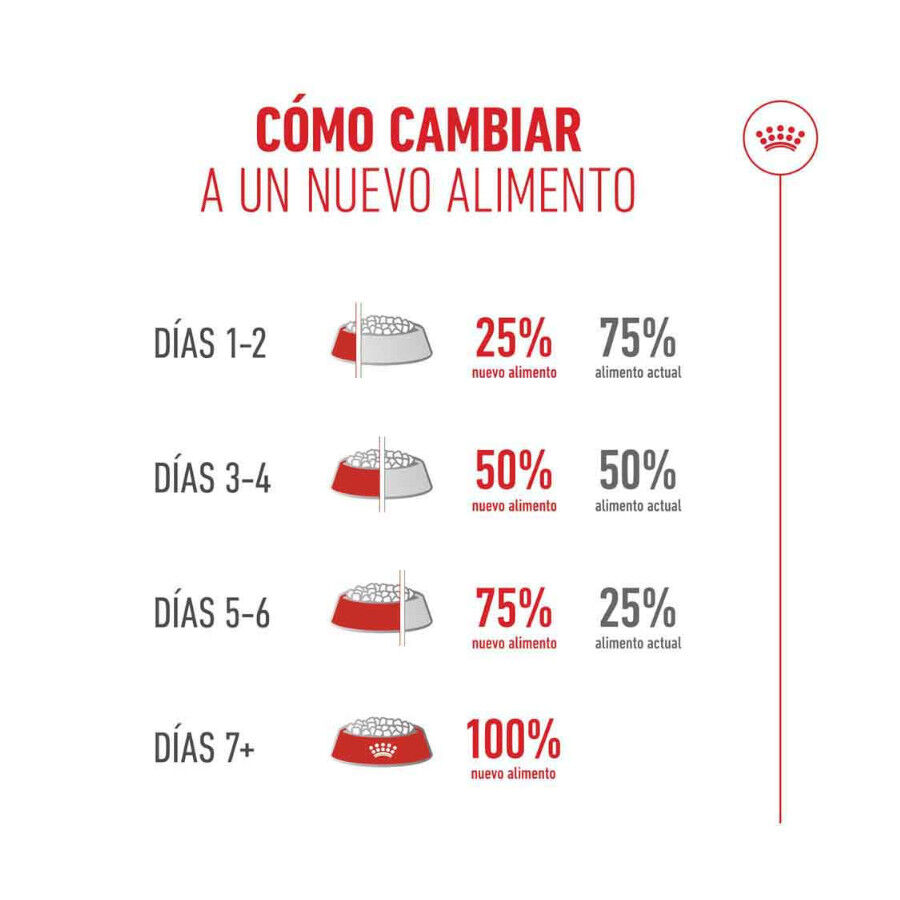 2 kg Royal Canin Ageing 11+ Sterilised ra&ccedil;&atilde;o para gatos, , large Imagem n&uacute;mero 8