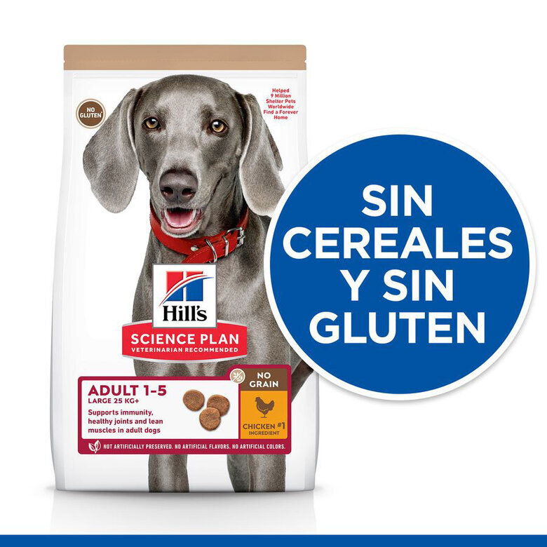 14 kg Hill's Large Adult Science Plan Frango ração para cães,  Imagem número 5 14 kg Hill's Large Adult Science Plan Frango ração para cães, , large Imagem número 5