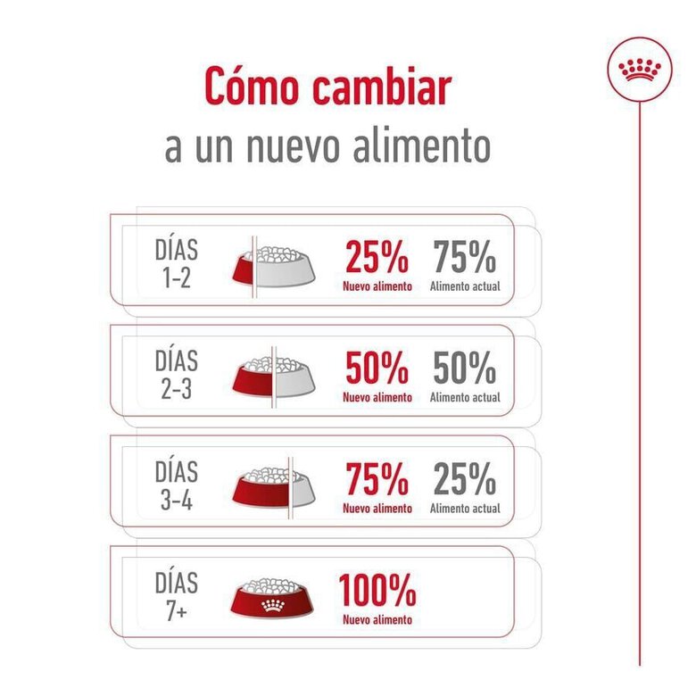 3 kg Royal Canin X-Small Adult ração para cães,  Imagem número 10 3 kg Royal Canin X-Small Adult ração para cães, , large Imagem número 10
