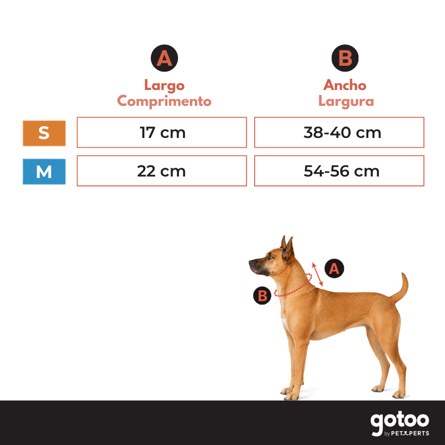Gotoo Cachecol Polar Verde para c&atilde;es, , large Imagem n&uacute;mero 5